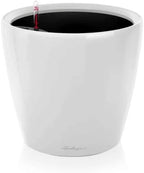LECHUZA 16020 Classico LS 21 Self-Watering Planter, White High Gloss by LECHUZA