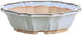 Willow Bonsai Ceramics Flower Design Bonsai Pot 10 Inch – Elegant Ceramic Bonsai & Succulent Pot, High‑Fired Frost‑Proof Stoneware with Drainage+Wiring Holes, Handmade USA (Glacier, 10inch) by Handmade