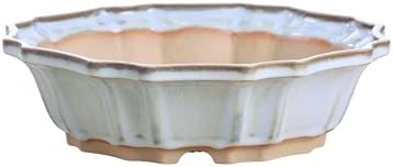 Willow Bonsai Ceramics Flower Design Bonsai Pot 10 Inch – Elegant Ceramic Bonsai & Succulent Pot, High‑Fired Frost‑Proof Stoneware with Drainage+Wiring Holes, Handmade USA (Glacier, 10inch) by Handmade