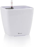 Dexceder 11x10 Self Watering Planter (White High Gloss) by Dexceder