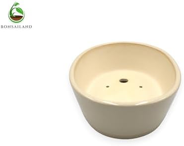 Ceramic Bonsai Pot, Beige, Oval Shaped Planter with Drainage Holes, 9 x 7 Inches x 3 inches high - Image 4