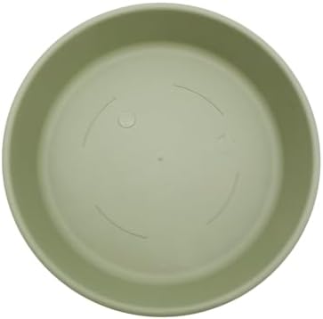 The HC Companies Flower Pot Saucers - Plastic Plant Saucer for Outdoors & Indoors - Traditional Design Plant Pot Trays for Water Drainage - Durable & Stylish Round Plant Tray (21-inch Seafoam) by TheHCCompanies