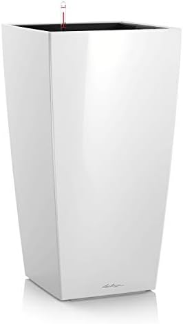 Lechuza CUBICO 40 Cream White High Gloss, Self-Watering Tall Planter, H29.5 L15.7 W15.7 in by LECHUZA