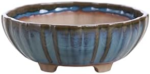 Willow Bonsai Ceramics Lily Bonsai Pot 7 Inch – Sculpted Rounded Ceramic Bonsai & Succulent Planter with Wavy Profile, High‑Fired Frost‑Proof Stoneware, Handmade in USA (Peacock, 7inch) by Handmade