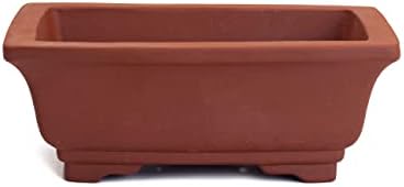 Dahlia 6" L x 4" W Rectangular Zisha Bonsai Planter/Succulent Pot/Flower Pot, Brown - Image 5