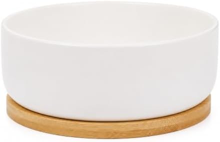 LUOZZY White Ceramic Succulent Planter Pot with Bamboo Tray for Indoor by LUOZZY
