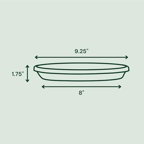 Bloem Terra Plastic Saucer Tray for 10" Terra Planters, Navy, 6-Pack - Image 2