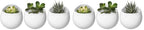 Mkono 4 Inch Wall Mounted Planter Round Ceramic Hanging Plant Holder Decorative Flower Display Vase Succulent Pots for Indoor Plants, Set of 3, White (Plants NOT Included) (Pack of 2) by Mkono