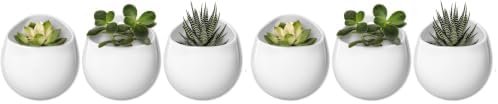 Mkono 4 Inch Wall Mounted Planter Round Ceramic Hanging Plant Holder Decorative Flower Display Vase Succulent Pots for Indoor Plants, Set of 3, White (Plants NOT Included) (Pack of 2) by Mkono