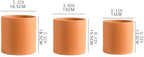 Planter Cylindrical Flower Pot Terra Cotta, with Drainage Holes Tabletop Planter Container, for Indoor Outdoor Bedroom Study Room Garden Balcony (3 Sizes) Garden(Medium) - Image 2