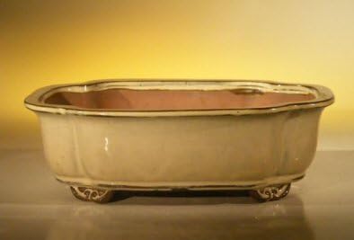 Bonsai Boy Beige Ceramic Bonsai Pot - Rectangle 10 x 8 x 3 125 by Bonsai+Boy