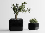 Modern Black Square Planter Pots with Geometric Lattice Design, Set of 2, Indoor Succulent and Bonsai Planters - Image 5
