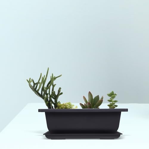 Rectangular Plastic Bonsai Training Pots, 3 Sets Antique Design - Image 4