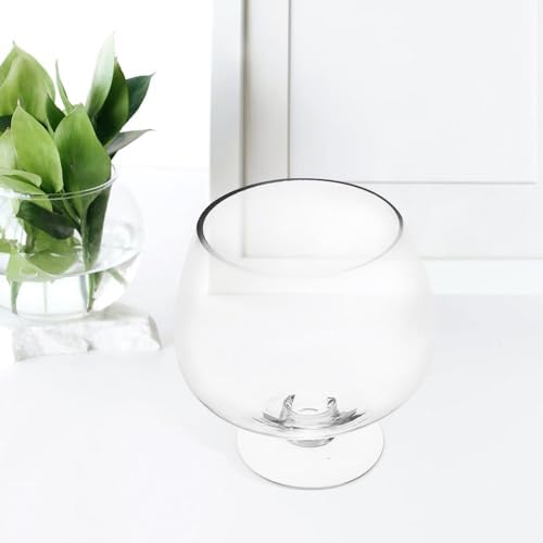 GANAZONO Clear Glass Goldfish Tank 17cm - Image 7