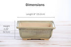 Willow Bonsai Ceramics Square Bonsai Pot 6 Inch – Low‑Profile Square Ceramic Bonsai & Succulent Pot with Accentuated Rim, High‑Fired Frost‑Proof Stoneware, Handmade in USA (Copenhagen, 6inch) - Image 4