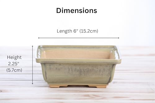 Willow Bonsai Ceramics Square Bonsai Pot 6 Inch – Low‑Profile Square Ceramic Bonsai & Succulent Pot with Accentuated Rim, High‑Fired Frost‑Proof Stoneware, Handmade in USA (Copenhagen, 6inch) - Image 4