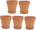 Red Clay Succulent Plant Pots with Saucers 8x8cm Terracotta Containers Set of 5 for Indoor Outdoor Gardening Decorative Flower Planters with Drainage by CONGARTENO