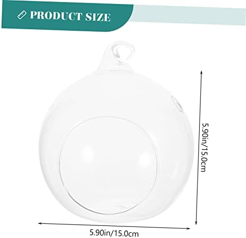 Glass Hanging Globe Terrarium 2pcs for Plants and Flowers - Image 2