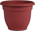 Bloem Ariana Self Watering Planter: 12" - Burnt Red - Durable Resin Pot, for Indoor and Outdoor Use, Self Watering Disk Included, Gardening, 3 Gallon Capacity by Bloem