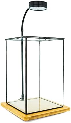 Large Geometric Terrarium Glass Container, 11 inch high Greenhouse w/Lid, for Indoor Plants, Succulent, Moss, Air Plant, Tabletop Decoration - Image 4