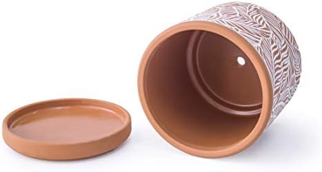 D'vine Dev Set of 2 Terracotta Pots, Leaf Pattern Planter Pot, 4 Inch and 6 Inch, Pot with Drainage Hole and Saucer, Terracotta/White, 31-958-T-1 - Image 3