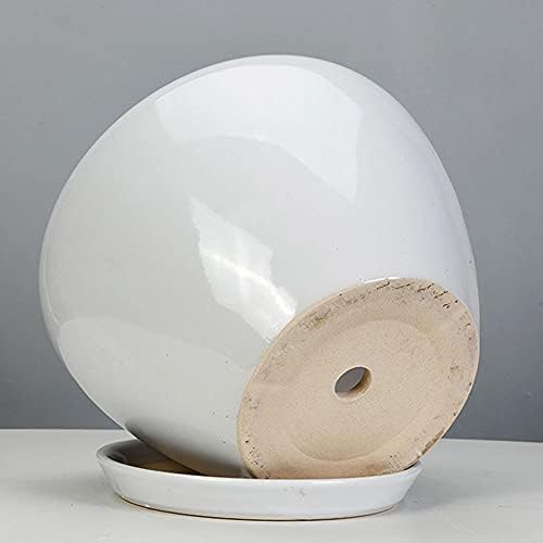 White Ceramic Plant Pots with Drainage and Saucers, Round Modern Indoor Flower Pots Set for Cactus, Succulents, Herbs, for Home, Office, Balcony (24cm*19cm) - Image 6