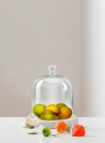 Serene Spaces Living Curio Glass Dome with Natural Wooden Base, Airplants, Flower, Accessories, Photos, Candles, Dessert Display, Home, Office Decor, Gift Idea - 8" Diameter & 9.25" Tall, Pack of 6 - Image 4