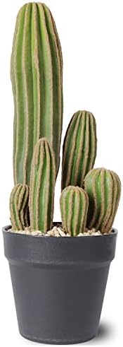 Artificial Cactus Fake Cactus 16 Inch Faux Cacti Plants for Home Garden Office Store Decoration by AntHousePlant
