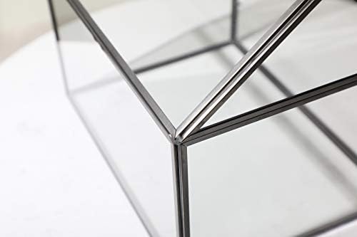 Large Glass Geometric Terrarium Container Tabletop Large Close House Shape Box Planter for Succulent Plant Moss Fern with Swing Lid Black Decor 12 x 9 x 10 inches, No Plants Included - Image 4