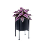 D'vine Dev Plastic Planter Pot with Metal Stand, Black, 8 in, 55-D-B-1 - Image 7