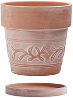 8" Embossed Whitewashed Terracotta Planter with Drainage Hole & Saucer, Rustic Style Unglazed Terracotta Pot for Indoor & Outdoors Plants by Wavy+Studio