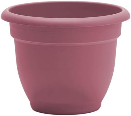 Bloem Ariana 12" Plastic Self-Watering Planter, Dusty Rose, 2-Pack - Image 7