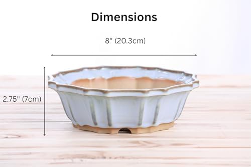 Willow Bonsai Ceramics Flower Design Bonsai Pot 8 Inch – Elegant Ceramic Bonsai & Succulent Pot, High‑Fired Frost‑Proof Stoneware with Drainage+Wiring Holes, Handmade USA (Glacier, 8inch) - Image 4