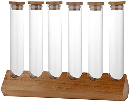 Cereals Canister Test Tubes with Sealed Wooden Caps Plant Propagation Glass Containers for Coffee and Tea Display and Scientific Experiments (6 Tubes) - Image 3