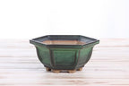 Willow Bonsai Ceramics Hexagonal Windowed Bonsai Pot 5 Inch – Semi‑Cascade Planter, High‑Fired Frost‑Proof Stoneware with Drainage & Wiring Holes, Handmade in USA (Avocado) - Image 2