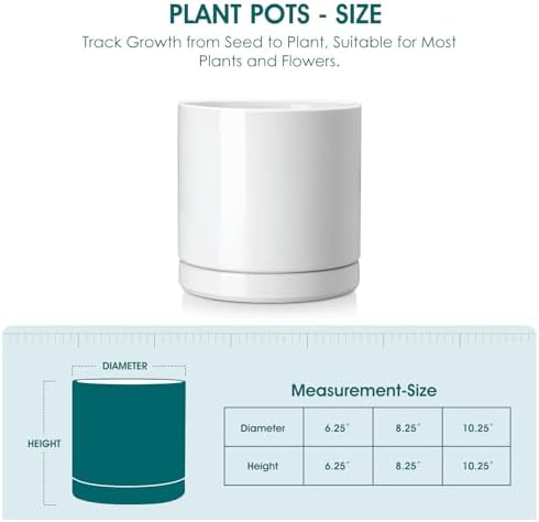 vancasso Ceramic Plant Pots, 8.25 Inch Ceramic Pot for Plants, Planters Pots for Indoor Plants with Drainage Holes, Flower Pot for Indoor House Plant, White - Image 2