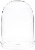 Plymor 4" x 5.5" Glass Display Dome Cloche (Clear Glass Tray Base), Pack of 2 by Plymor