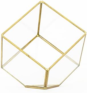 Heptahedron Geometric Glass Terrarium Kit with Red Abdita and Ionantha - Air Plant Tillandsia Holder - Live Tillandsia Succulent House Plant - Home and Garden Decor - Easy Care Indoor Outdoor Plants - Image 6
