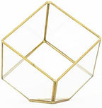 Heptahedron Geometric Glass Terrarium Kit with Red Abdita and Ionantha - Air Plant Tillandsia Holder - Live Tillandsia Succulent House Plant - Home and Garden Decor - Easy Care Indoor Outdoor Plants - Image 6