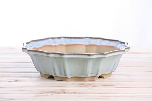 Willow Bonsai Ceramics Flower Design Bonsai Pot 10 Inch – Elegant Ceramic Bonsai & Succulent Pot, High‑Fired Frost‑Proof Stoneware with Drainage+Wiring Holes, Handmade USA (Glacier, 10inch) - Image 3
