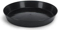 Saucer, 12 Inch, Black case of 100 by AustinPlanter