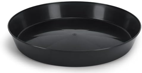 Saucers, 10 Inch, Black, 10 Pack - Image 4