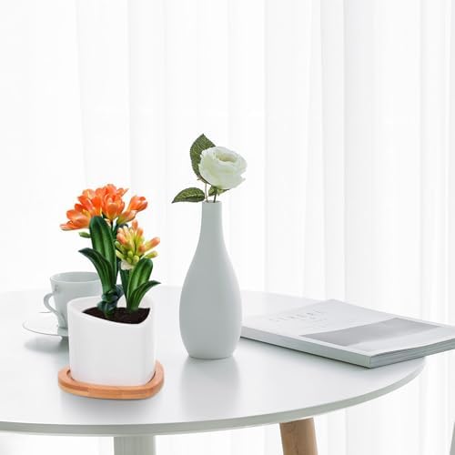 IMIKEYA Mini Succulent Flowerpot White Ceramic Planter with Bamboo Saucer - Image 6