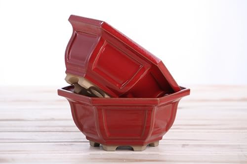 Willow Bonsai Ceramics Hexagonal Windowed Semi-Cascade Bonsai Pot, 5inch, Plant Container, Succulant Pot, High Fired Ceramic Stoneware, Frost Proof (Red) - Image 7