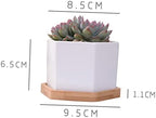 White Ceramic Hexagonal Succulent Pots Set of 2 with Bamboo Tray - Image 3