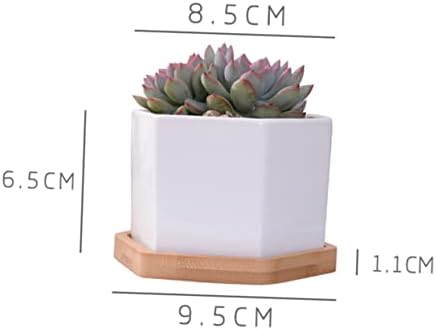 White Ceramic Hexagonal Succulent Pots Set of 2 with Bamboo Tray - Image 3