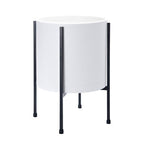 D'vine Dev Plastic Planter Pot with Metal Stand, White, 10 in, 55-D-A-2 by DvineDevPlanterPotsandStand