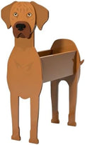 Animal PVC Flower Pot, Ridgeback Shaped Succulent Planter Flower Holder for Garden Patio Balcony Window Sill, for Birthday Pet Lovers, 43x27cm(17x11in) by Unknown