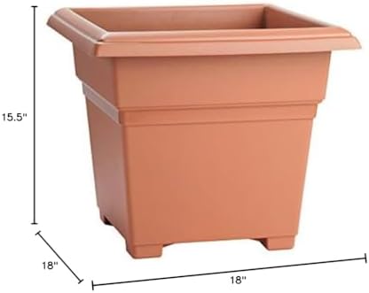 Root & Vessel Countryside Square Planter, Terra Cotta, 18-Inch - Image 6
