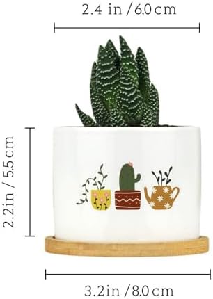 DreamAutumn Plants Ceramic Flower Pots Set of 3,Gardening Plant Pot with Drainage Holes and Saucers Round Ceramic Pots for Indoor Plants Succulent Herbs Cactus Pots - Image 2